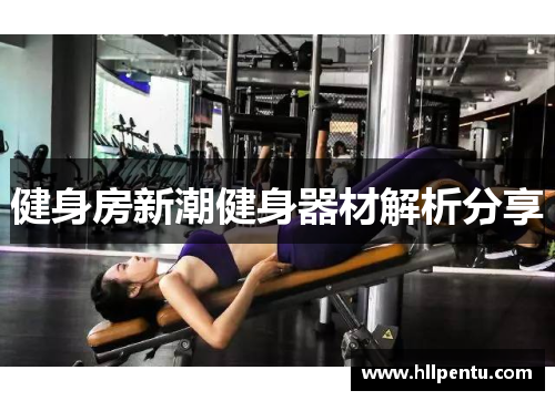 健身房新潮健身器材解析分享