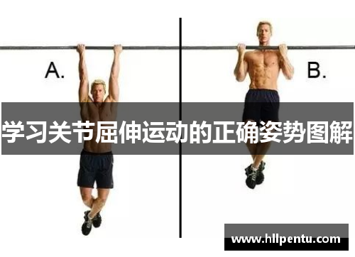 学习关节屈伸运动的正确姿势图解